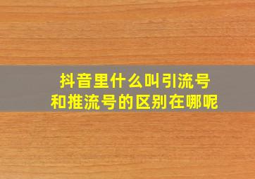 抖音里什么叫引流号和推流号的区别在哪呢