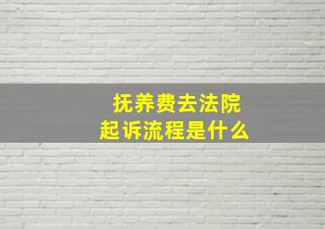 抚养费去法院起诉流程是什么