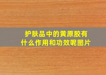 护肤品中的黄原胶有什么作用和功效呢图片