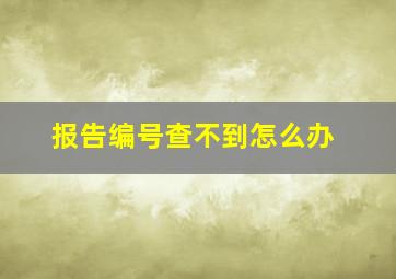 报告编号查不到怎么办