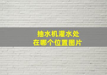 抽水机灌水处在哪个位置图片