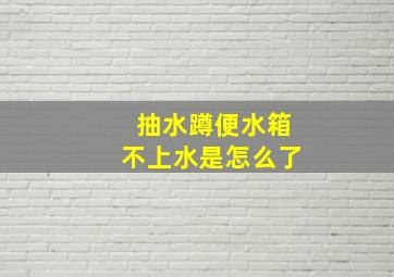 抽水蹲便水箱不上水是怎么了