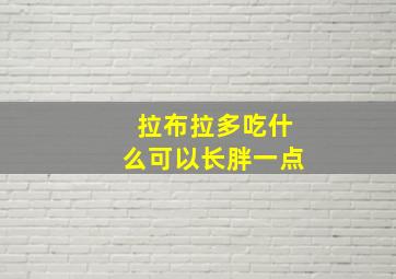 拉布拉多吃什么可以长胖一点