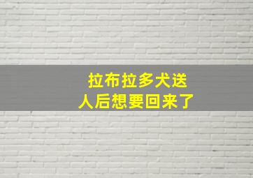 拉布拉多犬送人后想要回来了