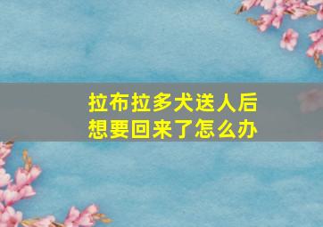 拉布拉多犬送人后想要回来了怎么办