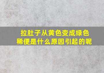 拉肚子从黄色变成绿色稀便是什么原因引起的呢