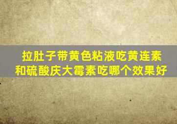 拉肚子带黄色粘液吃黄连素和硫酸庆大霉素吃哪个效果好