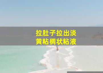 拉肚子拉出淡黄粘稠状粘液