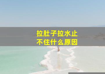 拉肚子拉水止不住什么原因