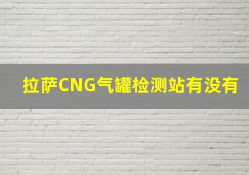 拉萨CNG气罐检测站有没有