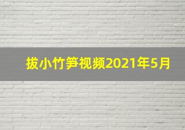 拔小竹笋视频2021年5月