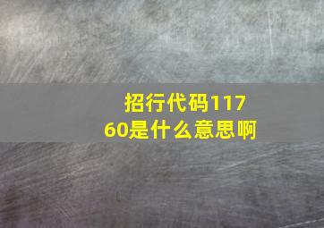 招行代码11760是什么意思啊