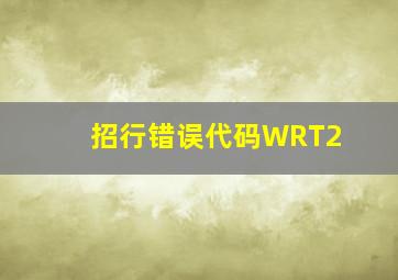 招行错误代码WRT2