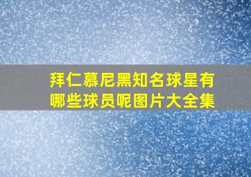 拜仁慕尼黑知名球星有哪些球员呢图片大全集