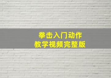 拳击入门动作教学视频完整版