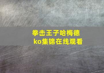 拳击王子哈梅德ko集锦在线观看