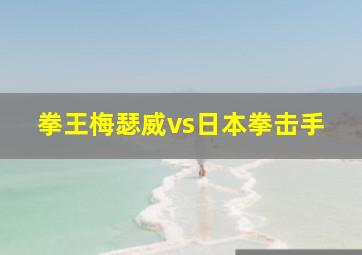 拳王梅瑟威vs日本拳击手