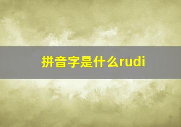 拼音字是什么rudi