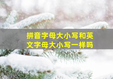 拼音字母大小写和英文字母大小写一样吗