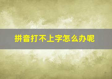 拼音打不上字怎么办呢