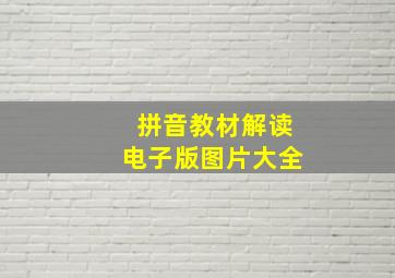 拼音教材解读电子版图片大全