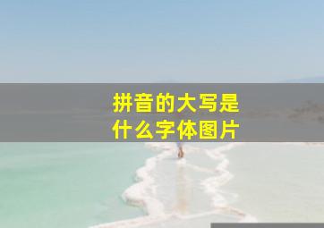 拼音的大写是什么字体图片