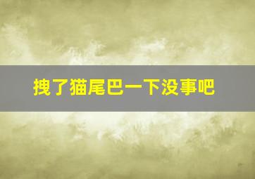 拽了猫尾巴一下没事吧