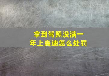 拿到驾照没满一年上高速怎么处罚