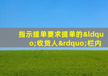 指示提单要求提单的“收货人”栏内