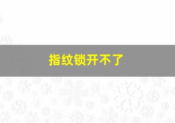 指纹锁开不了