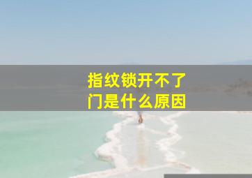 指纹锁开不了门是什么原因