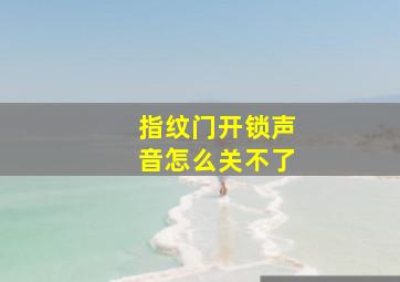 指纹门开锁声音怎么关不了