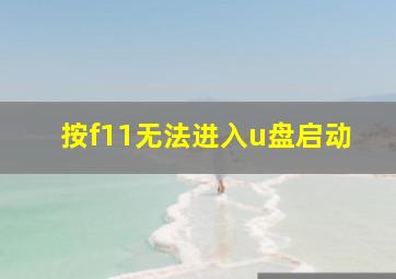 按f11无法进入u盘启动