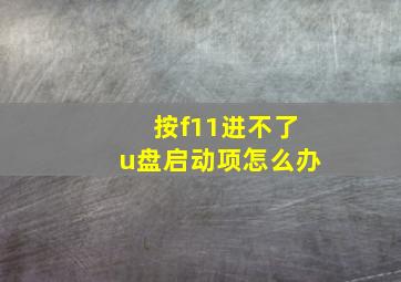 按f11进不了u盘启动项怎么办