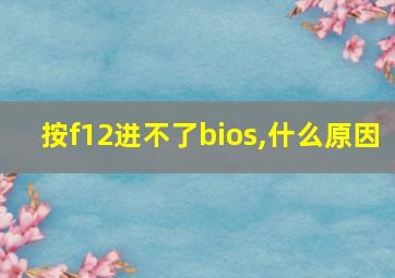 按f12进不了bios,什么原因