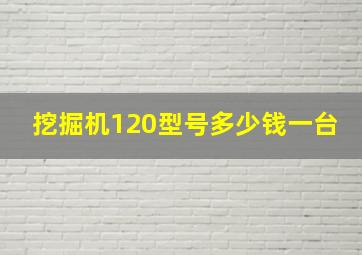 挖掘机120型号多少钱一台