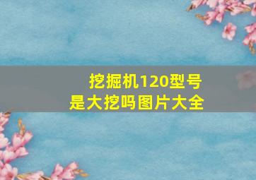 挖掘机120型号是大挖吗图片大全