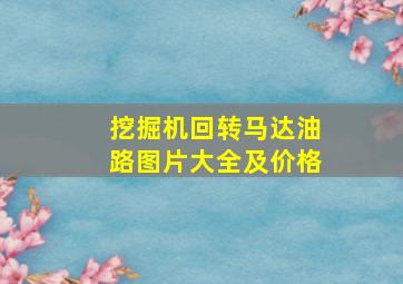 挖掘机回转马达油路图片大全及价格