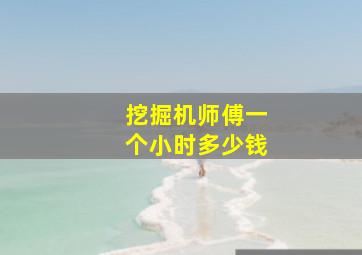 挖掘机师傅一个小时多少钱