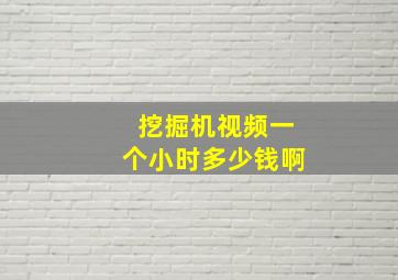 挖掘机视频一个小时多少钱啊