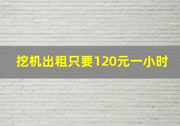 挖机出租只要120元一小时