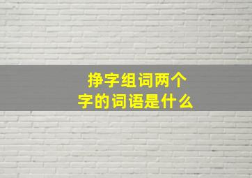 挣字组词两个字的词语是什么