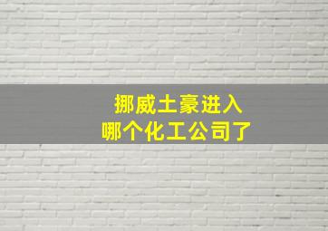 挪威土豪进入哪个化工公司了