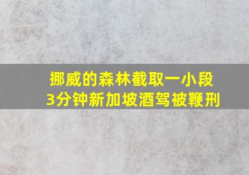 挪威的森林截取一小段3分钟新加坡酒驾被鞭刑