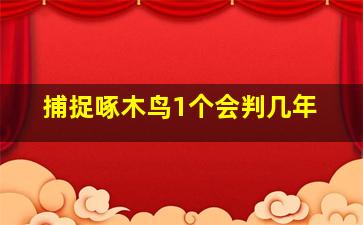 捕捉啄木鸟1个会判几年