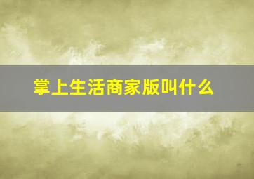 掌上生活商家版叫什么