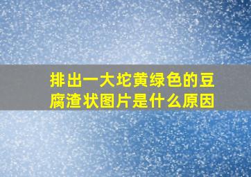 排出一大坨黄绿色的豆腐渣状图片是什么原因