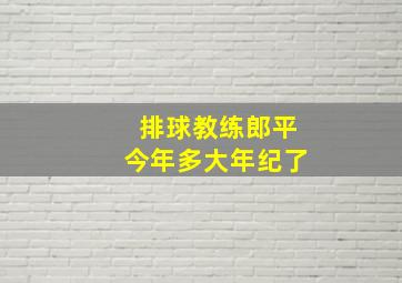 排球教练郎平今年多大年纪了