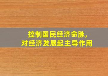 控制国民经济命脉,对经济发展起主导作用