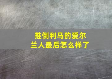 推倒利马的爱尔兰人最后怎么样了